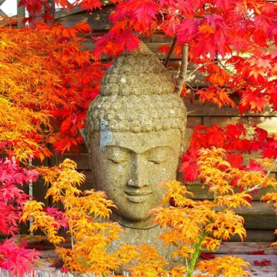 Buddha-Figuren aus Stein und japanischer Ahorn passen perfekt zusammen © Fotolia.com