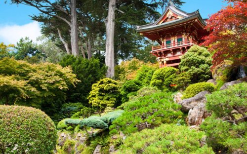 Der Japanische Teegarten – Alles zu Bedeutung & Gestaltung
