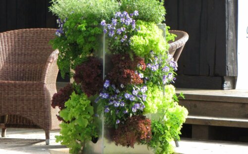 Vertikalen Garten selber bauen – Tipps und Anleitung