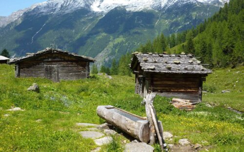 Holzbrunnen kaufen – Alpine Gartenbrunnen in Baumstamm-Optik