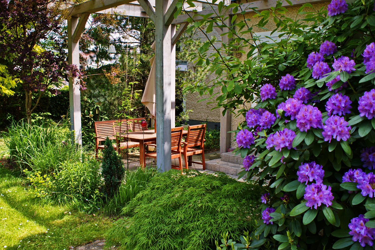 Außenterrasse mit Pergola umgeben von vielen großen und kleinen Pflanzen.