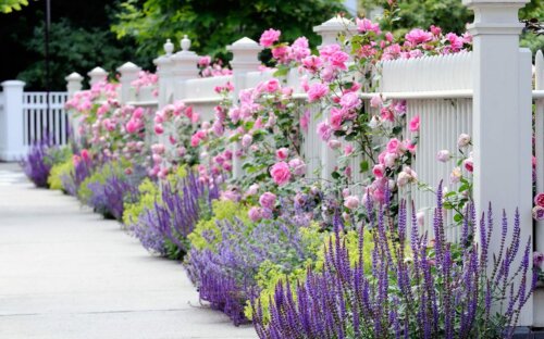 Gartengestaltung – 25 moderne Ideen