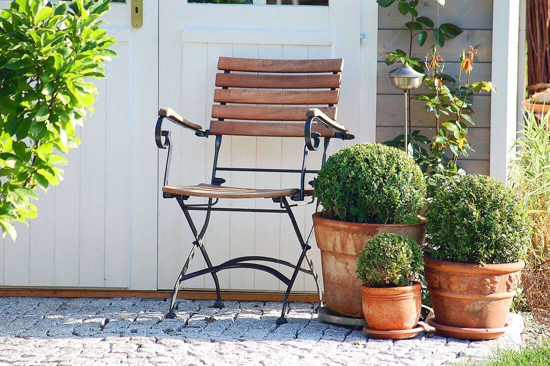 Buchsbaum im Pflanztopf kaufen