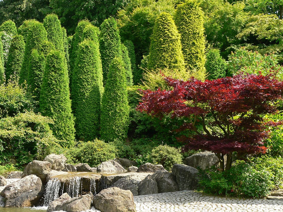 Immergrüne Pflanzen in Kombination mit einem kleinen Wasserfall und Natursteinen