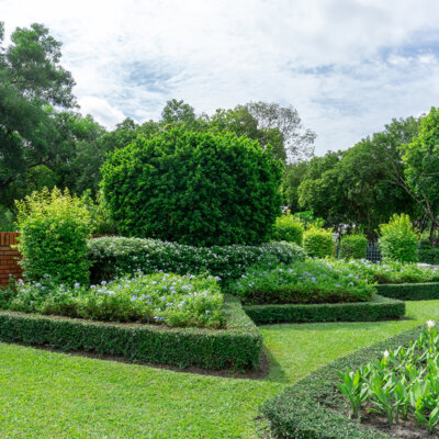 Großzügiger Garten mit Hecken & Beeten