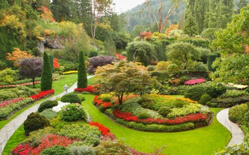 Garten gestalten oder neu anlegen