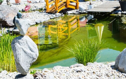 Kleinen Gartenteich selber anlegen & gestalten
