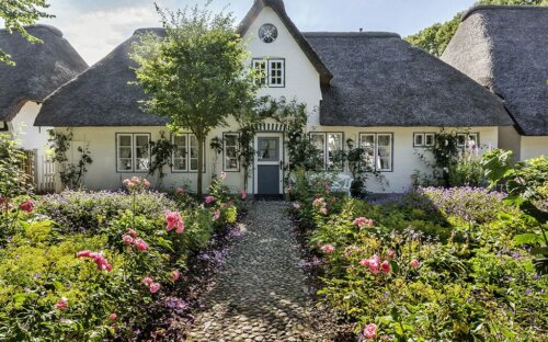 Top-20 Gartenpflanzen (winterhart) für Frühling  Sommer  Herbst & Winter