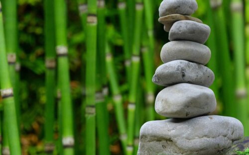 Japanischen Garten selbst anlegen