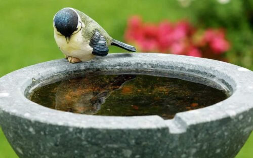 Vogeltränke selber bauen
