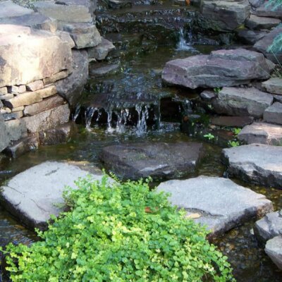Wasserfall aus  Naturstein mit grünen Pflanzen