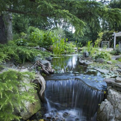 Wasserfall im Grünen mit Steinen