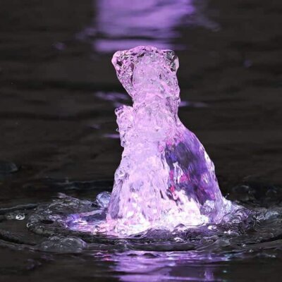 Purpur leuchtender Fontäne