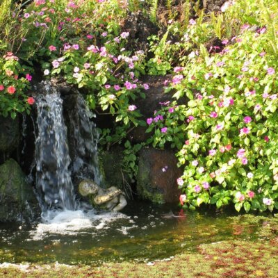 Kleiner Wasserfall umbringt von Blumen