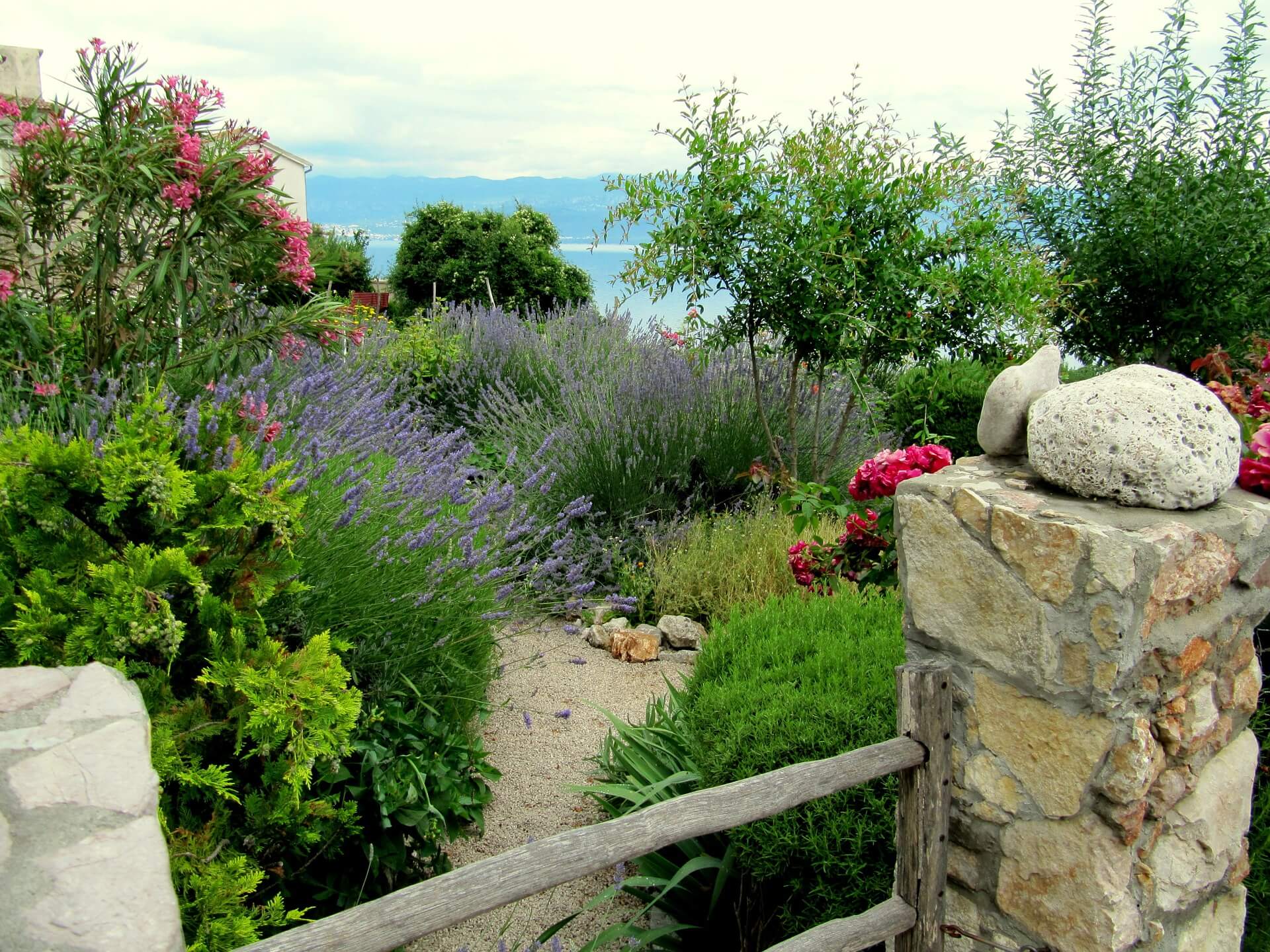 Mediterrane Gartengestaltung (winterhart) - 25 Beispiele & Ideen