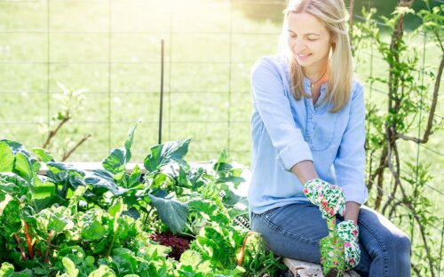 Hochbeet selber bauen  befüllen & bepflanzen