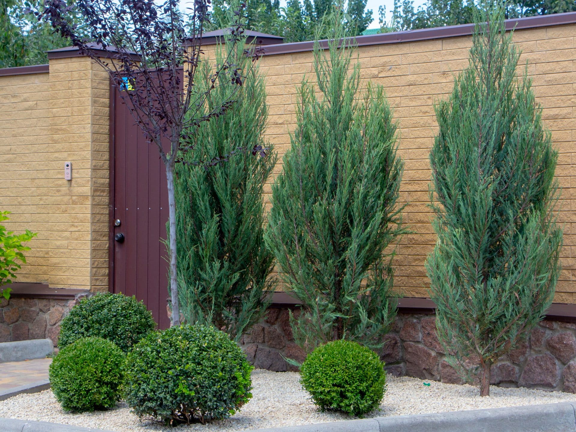 Kiesgarten mit Heckenpflanzen