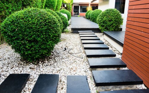 Kiesgarten anlegen – Ideen & Fotos für Ihren modernen Garten