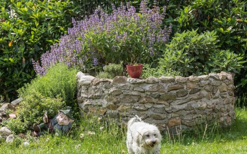 Kräuterspirale anlegen und selber bauen