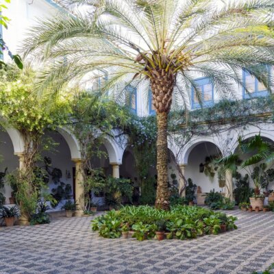 Mediterraner Innenhof mit großer Palme und vielen Kletterpflanzen © Shutterstock.com - KarSol