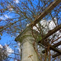 Pergola mit Kletterrose © Pixabay.com