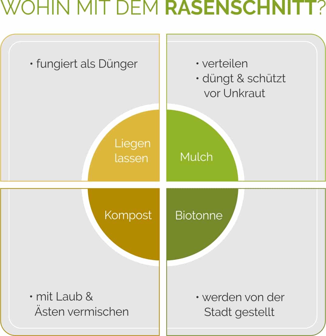 Diese Möglichkeiten gibt es, Rasenschnitt zu entsorgen