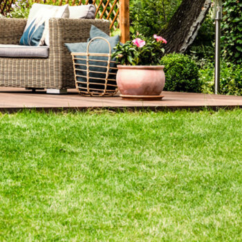 Eine Grafik zu Rasen richtig pflegen