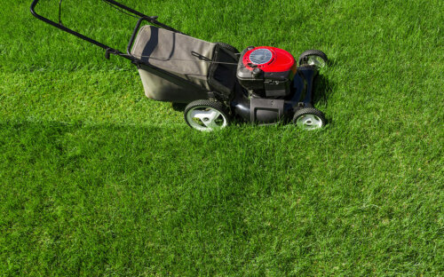 Rasen richtig mähen – Infos zu Uhrzeit  Mittagsruhe & Co.