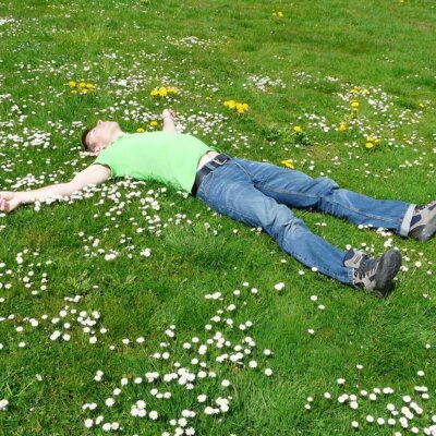 Wilde Blumen auf dem Rasen