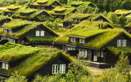 Dachbegrünung (extensiv/intensiv) anlegen