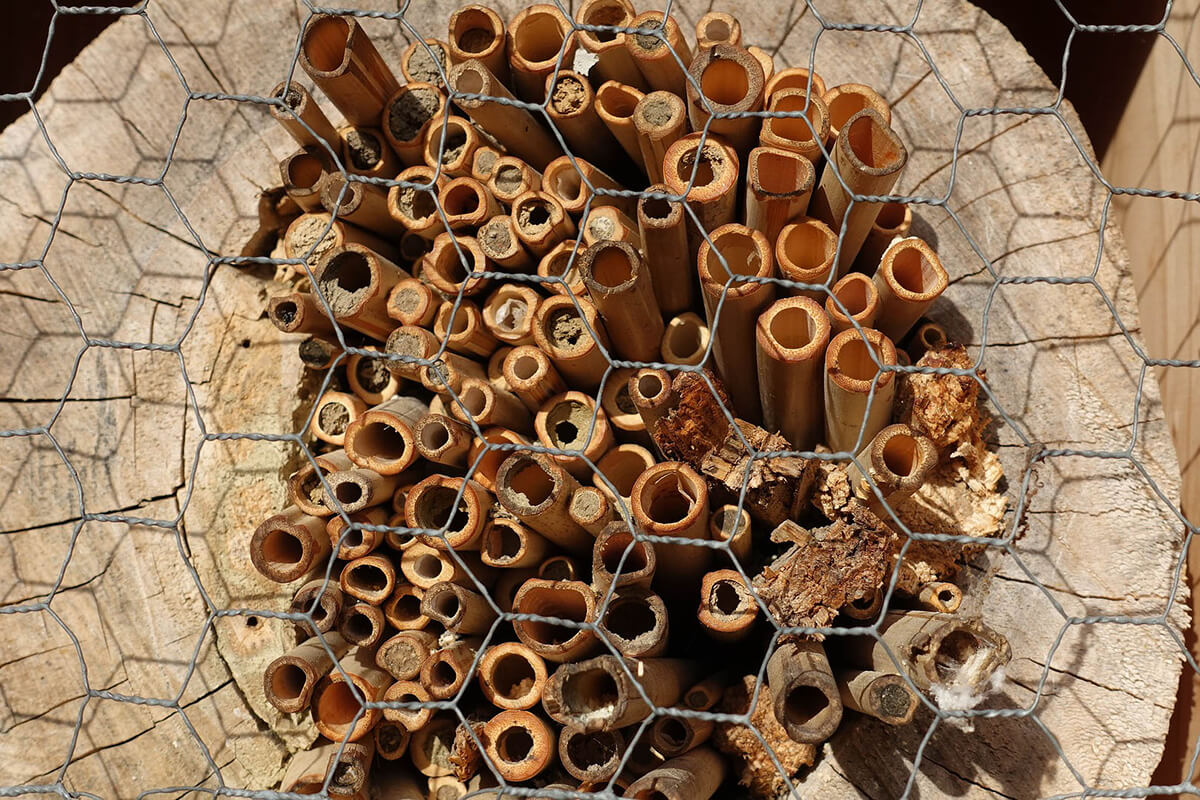 Selbst gebautes Insektenhotel