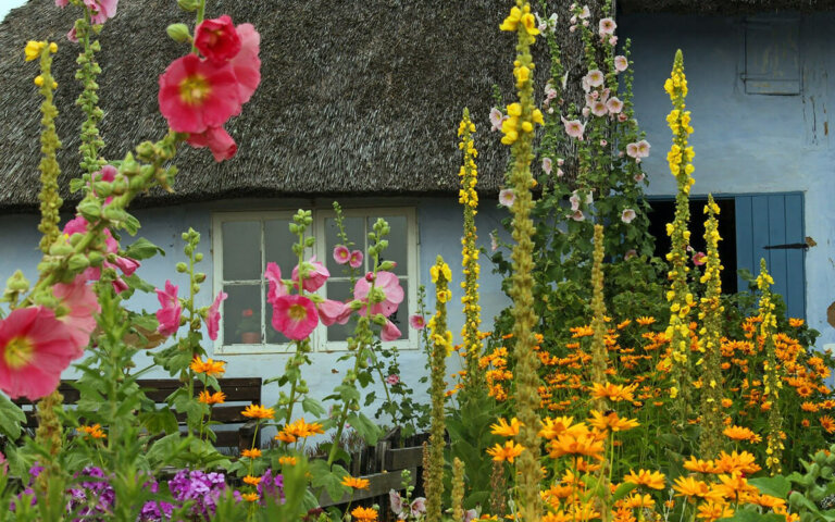 Staudenbeet & Staudengarten planen  anlegen & gestalten