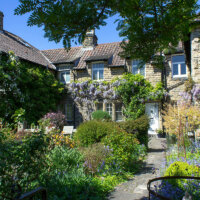 landhausgarten_wild_bewachsen