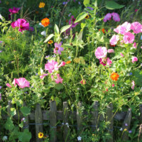 gartenzaun_holz_bauerngarten