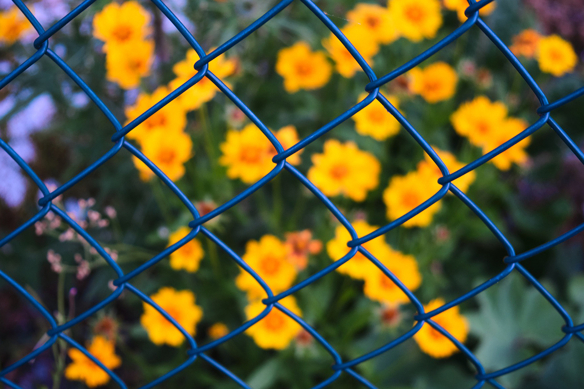 Gartenzaun als Maschendrahtzaun