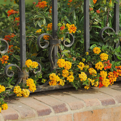 gartenzaun_metall_verspielt