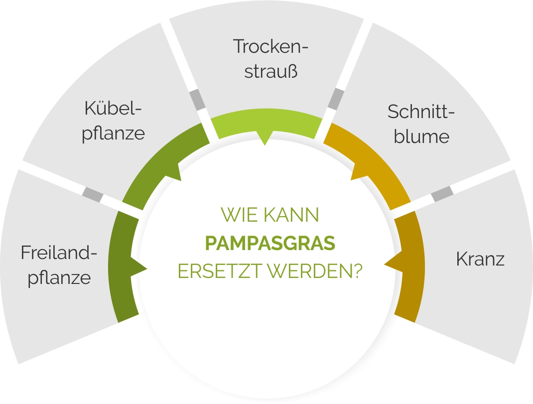 Einsatzmöglichkeiten von Pampasgras