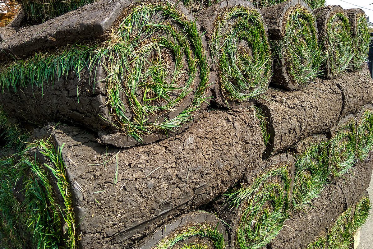 Rollrasen-Anlieferung in einzelnen Rollen. © PEPPERSMINT - depositphotos.com