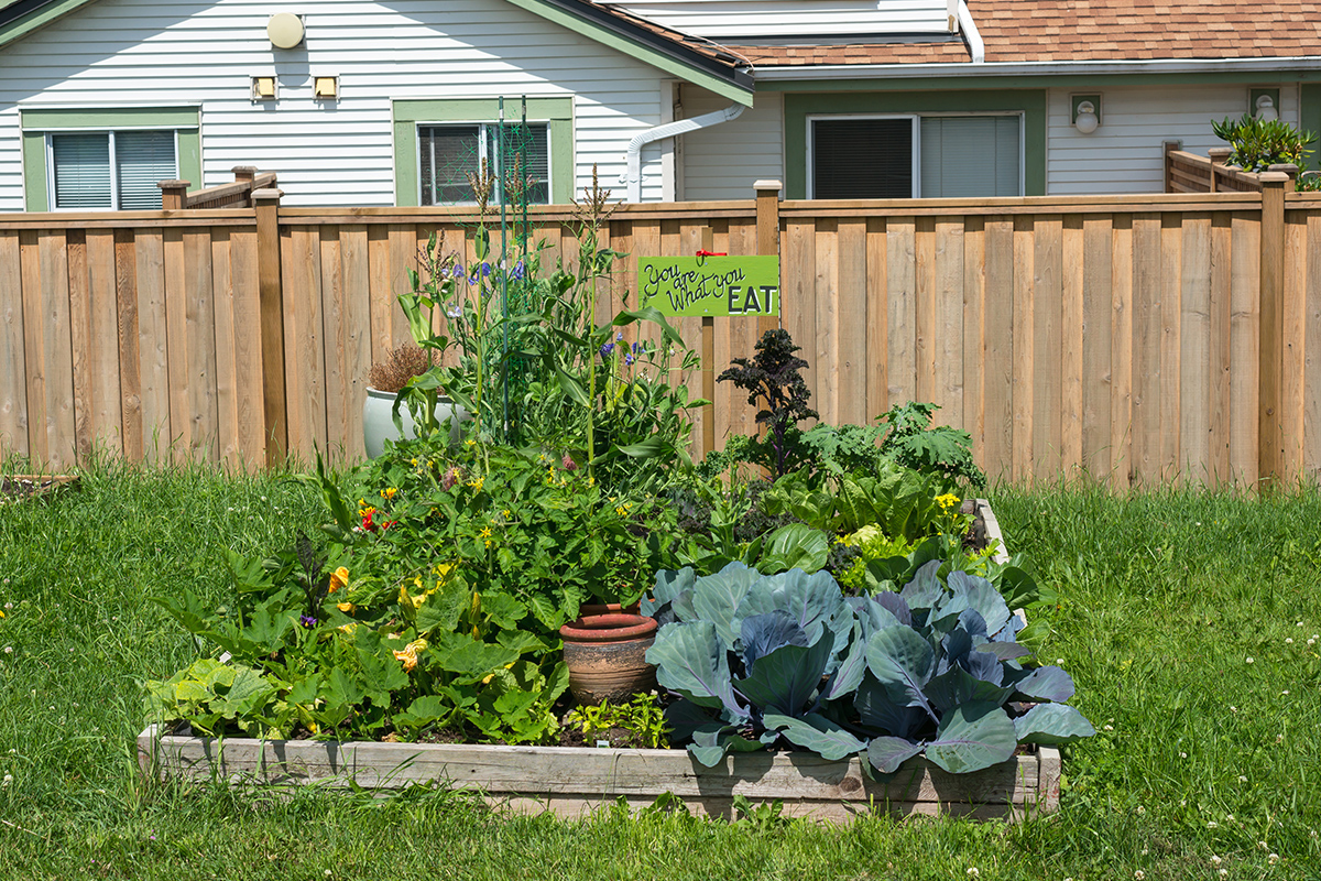 Frisch angelegtes Hügelbeet mit Holzabgrenzung.