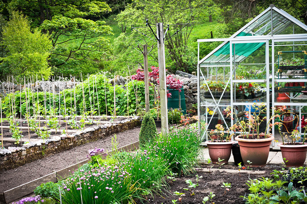 Großer Garten mit vielen Gemüsebeeten und einem kleinen Gewächshaus für empfindliche Pflanzen.