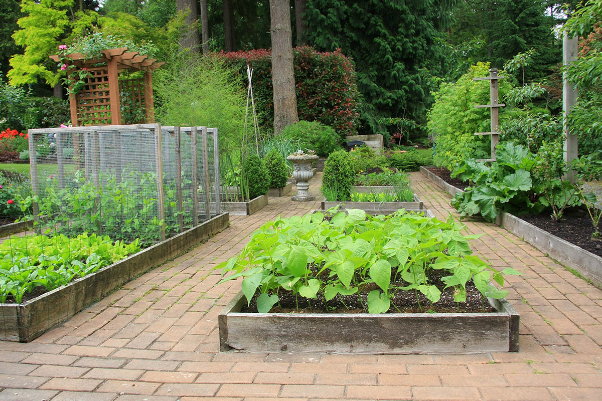 Es hat sich gezeigt, dass ein Gemüsebeet nicht länger als 5 Meter sein sollte. Wenn das Beet länger ist, besteht die Gefahr, dass man versucht, kurzzeitig darüber zu steigen, anstatt es zu umrunden.