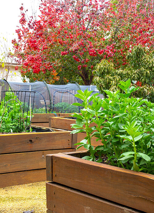 Gemüsegarten STL 1