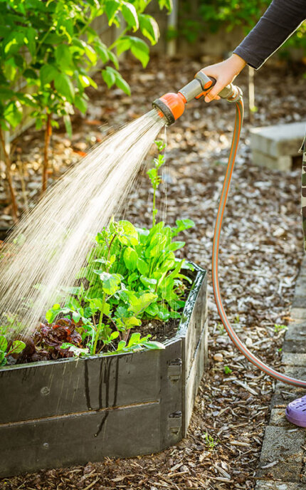 Bewässerung mit Gartenschlauch