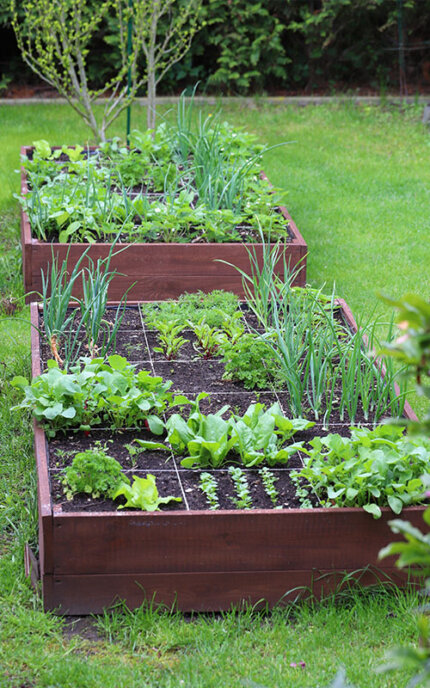 Ordentlich abgetrennte Beete