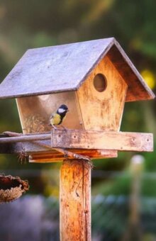 Vogelhäuser