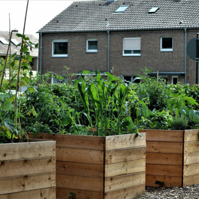 gemuesegarten_hochbeete