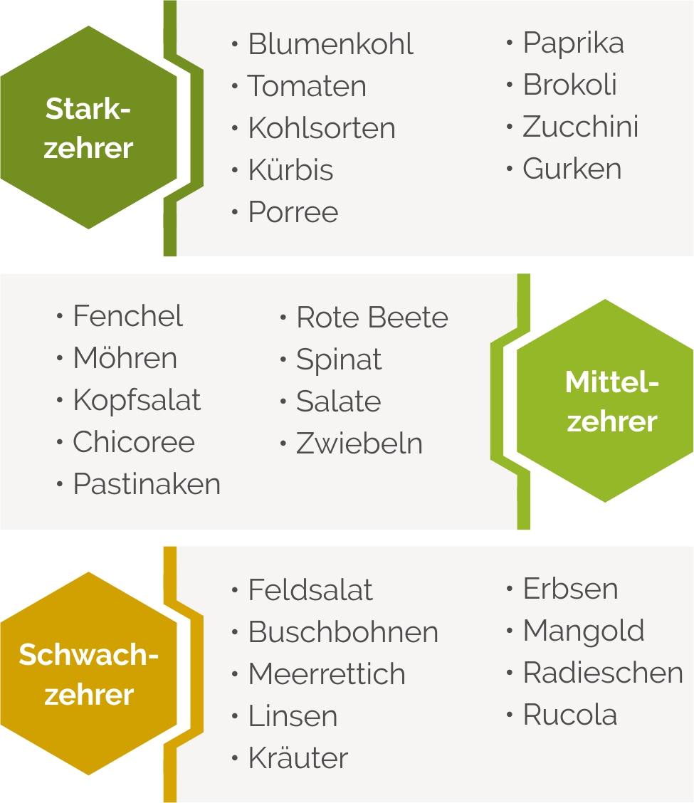 Nährstoffbedarf von Pflanzen im Gemüsebeet