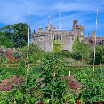 gemuesegarten_schlossgarten