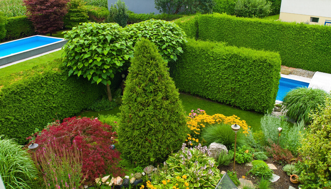 Die passende Hecke für Ihren Garten aussuchen