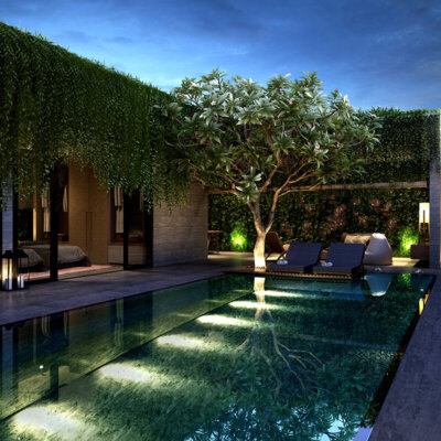 kletterpflanzen_moderner_garten